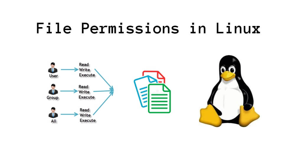 File Permissions Command In Linux With Examples Tuts Make