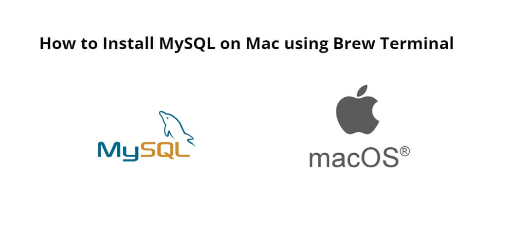 mysql download mac brew