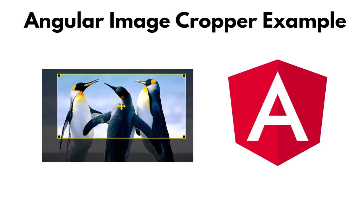Angular 17|16 Image Cropper Example