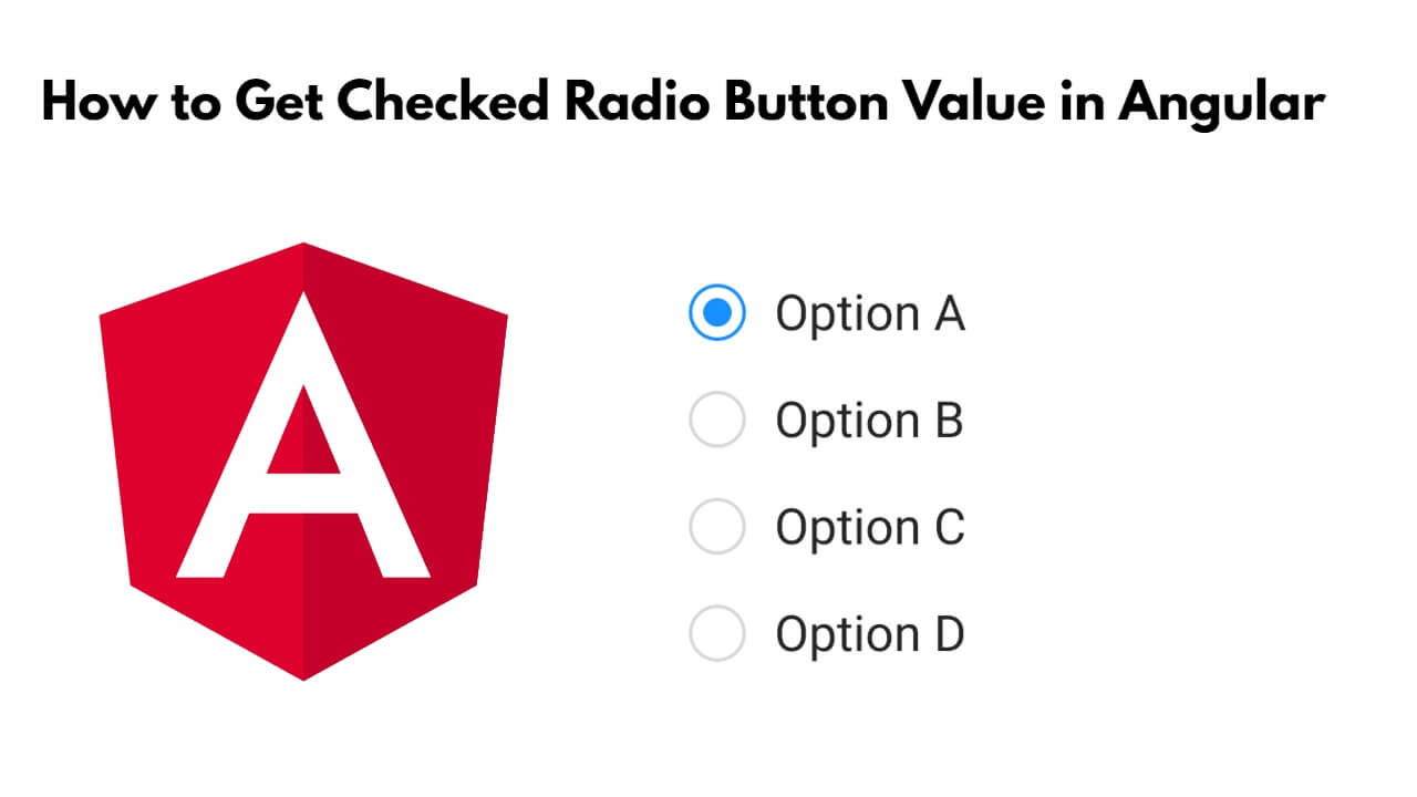 how-to-get-selected-radio-button-value-in-angular-17-16-tuts-make