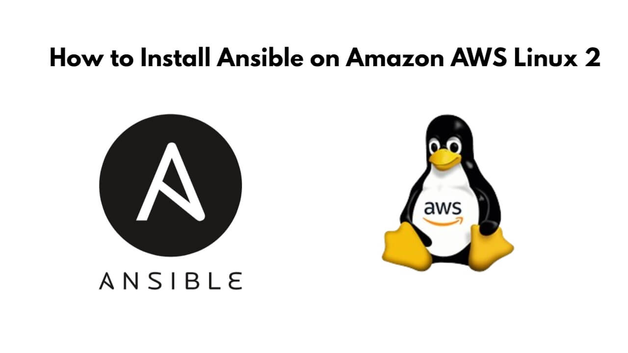 How to Install Ansible on Amazon AWS Linux 2 Tuts Make