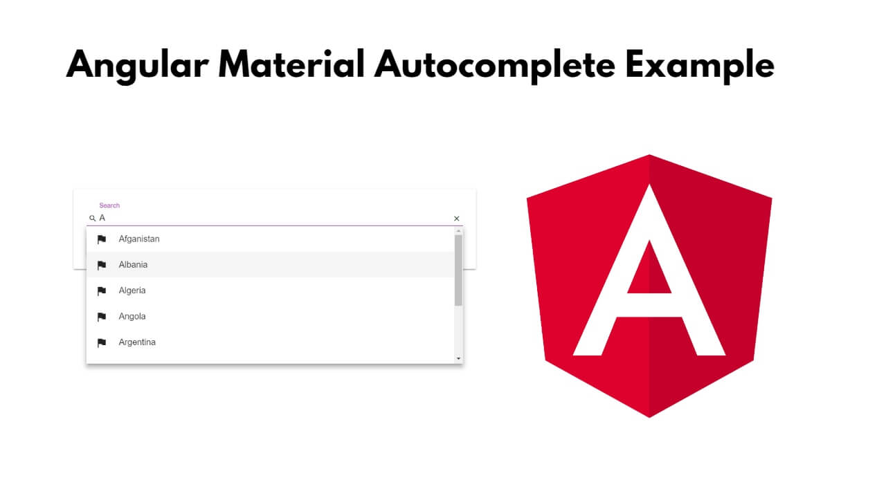 Angular 17 Material Autocomplete Example